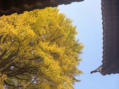 -郑和公园