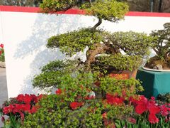 -南山植物园
