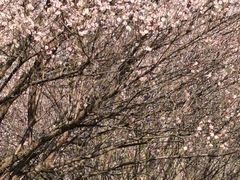 -中国客家博物馆