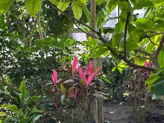 -国家植物园南园