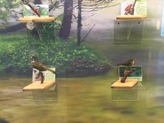 -下渚湖国家湿地公园科普馆