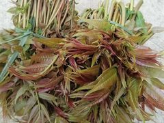 -谭家菜农夫山庄