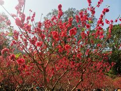 -桃花涧