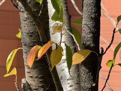 -上海交通大学(闵行校区)