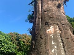 -青青世界