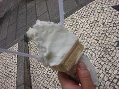 柠檬车露+榴莲-柠檬车露(卖草地店)