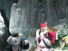 -成都泰迪熊博物馆