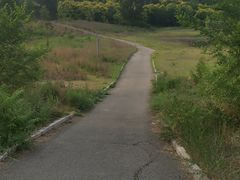 -绿堤公园