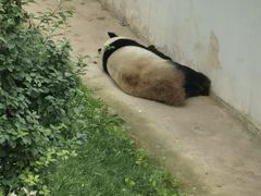 -青藏高原野生动物园