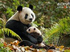 -和平影视娱乐城