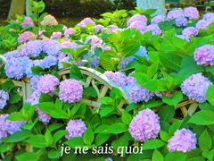 -常州古运河南大街文化旅游区-人民公园