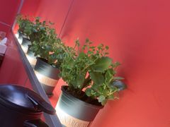 -虾女王·龙虾·烧烤(龙江店)