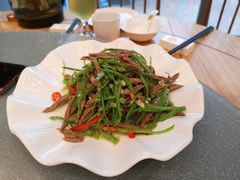 -东哥紫阳蒸盆子(旺座·现代城店)