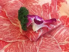 -鲁西肥牛(九方购物中心店)