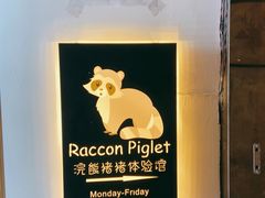 -浣熊柯尔鸭土拨鼠·电玩咖
