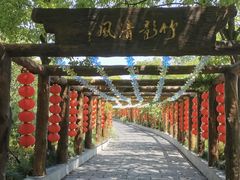 -南汇桃花村