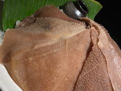 -九鼎轩脆毛肚火锅(三钢里店)