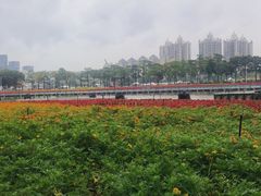 -海心沙亚运公园