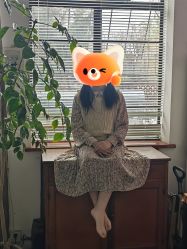 -艾米丽儿童摄影