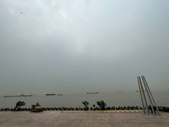 -上海滨江森林公园