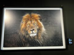 -罗红摄影艺术馆