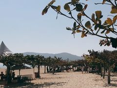 -三亚亚龙湾天域度假酒店