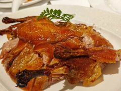-圆苑(金茂店)