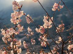 -崂山九水游览区