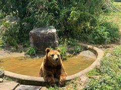 -无锡动物园·太湖欢乐园