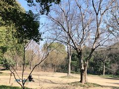 -上海吴淞炮台湾国家湿地公园