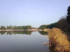 -美兰湖景区