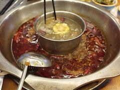 -金鼎雪山牦牛杂火锅(理县总店)