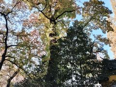 -虞山风景区