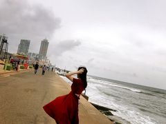 -Ministry of Crab(科伦坡店)