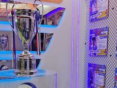 -翼速篮球·儿童体适能·中考体育(鲁能城店)