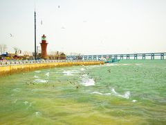 -星海广场