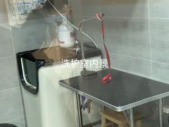 -宠福鑫动物医院(城北分院)