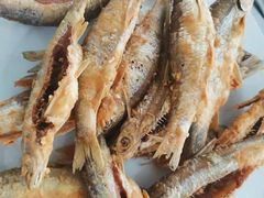 -庆岭迎宾园正宗活鱼馆