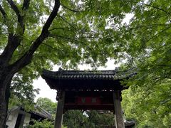 -汇龙潭