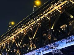 -武汉两江游览·夜游长江(汉口粤汉码头)