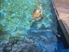 -海合安天津极地海洋公园
