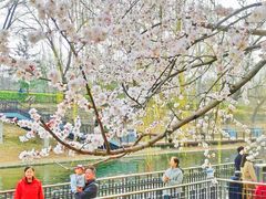 -安定门(地铁站)