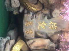 -榕记(番禺总店)