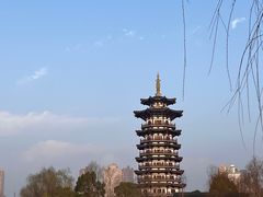 -洋湖国家湿地公园
