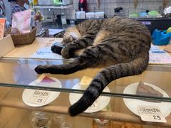 -猫的天空之城概念书店(杭州南宋御街店)