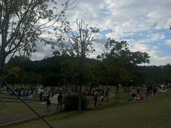 -牛岗山公园