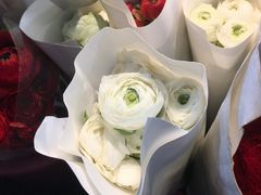 -循礼门鲜花花市(武汉循礼门店)