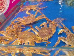 -79号渔船海鲜饭店(龙岗店)