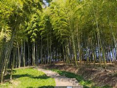 -良渚古城遗址公园