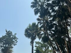 -中国科学院西双版纳热带植物园
